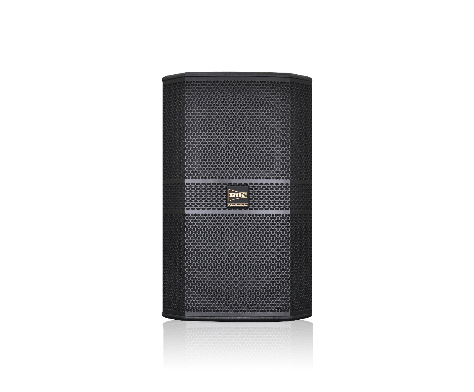 BBK-S310